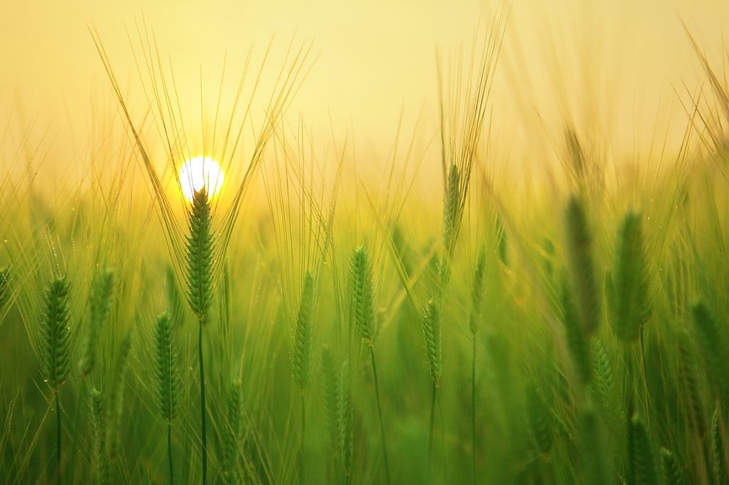 Como Conseguir o Primeiro Emprego na Farmácia: Dicas Para Iniciar a Carreira