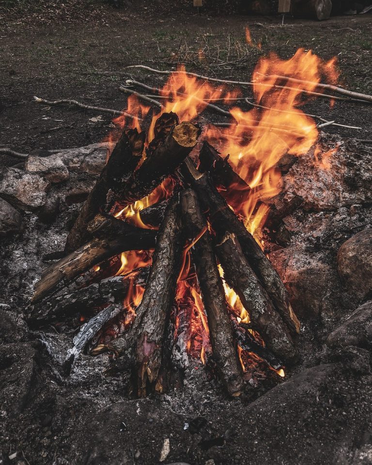 Cursos Profissionalizantes Para Jovens Aprendizes: Prepare-se Para O Futuro